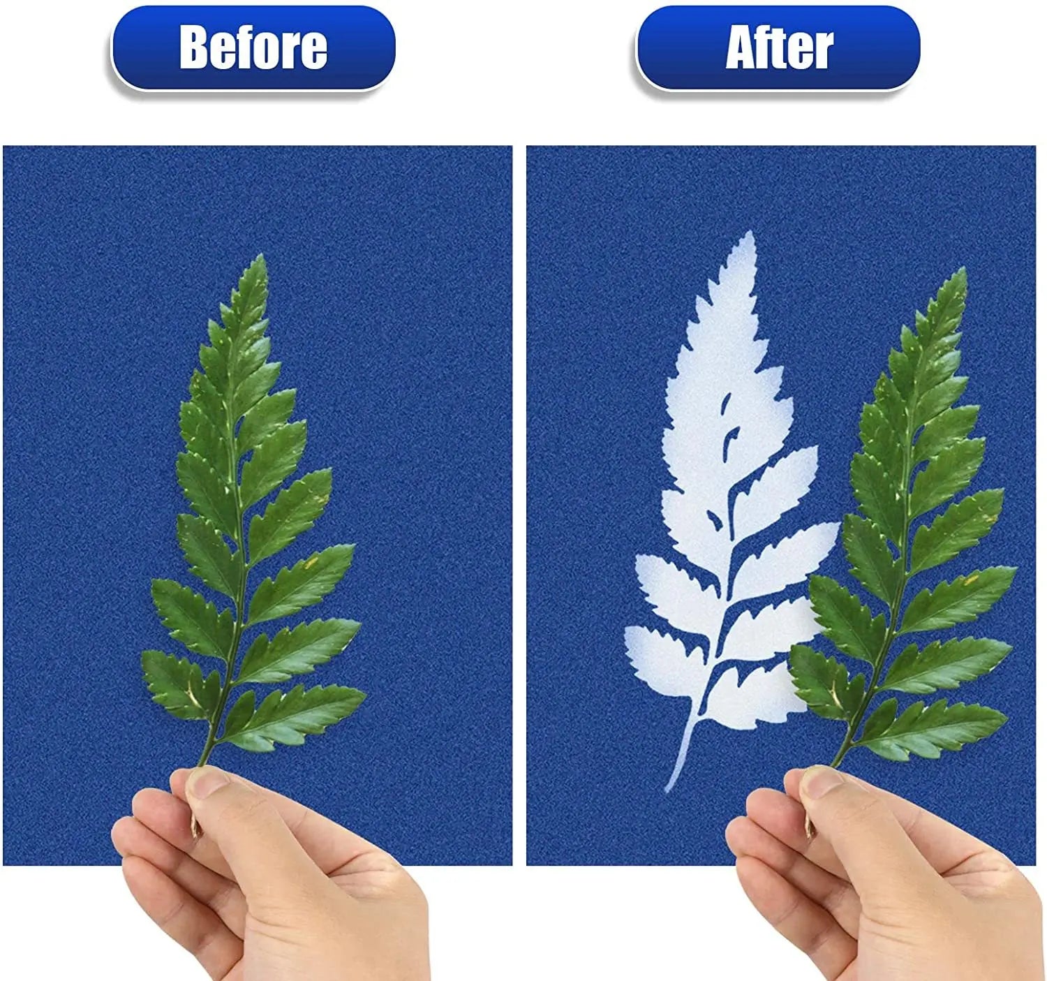 A5/A6 Cyanotype Sun Art Kit